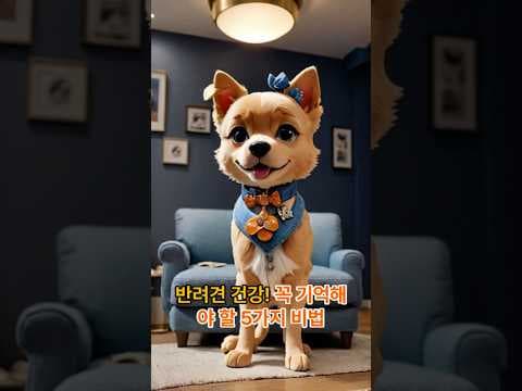 반려견 건강 관리 재테크 놓치면 후회하는 핵심 비법 5가지