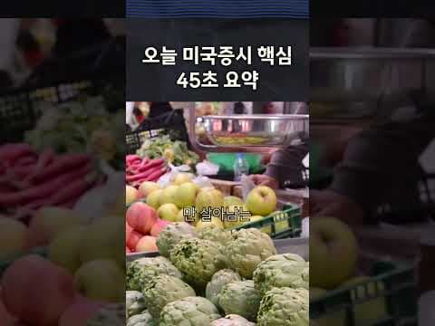 미국 증시 변동성, AI 반도체 투자로 재테크 기회를 잡을까?
