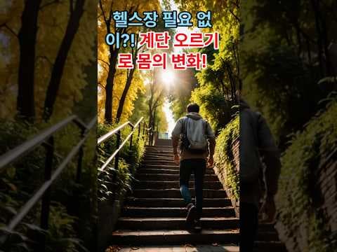 계단 오르기 재테크: 전신 근력 강화와 체중 관리 효과