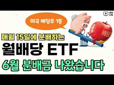 2024년 6월 미국 월배당 ETF 재테크, 반도체와 배당주 성과 총정리!