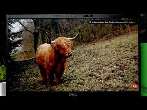 DELL Latitude 7410 배터리 용량 비교 재테크 노트북 사용 시간 이 정도면 대박이에요