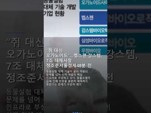 2026년 5월 AI 재테크 트렌드: 네이버 검색부터 게임까지 투자 기회!