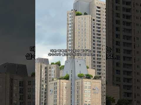 분당 재건축 투자, 2026년 재테크 기회일까? 투자 의견 묻습니다