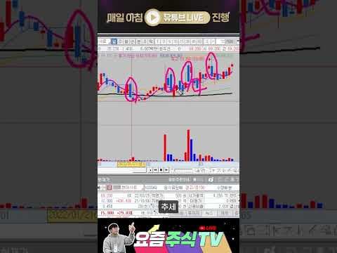 재테크 현대 사료 급등 전 매집봉 패턴, 놓치면 후회할 차트 분석!