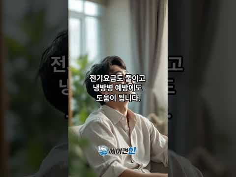 차량 에어컨 관리 재테크 놓치면 후회할 곰팡이 예방 필터 청소법
