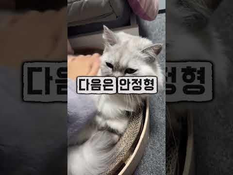 재테크 안정형 ETF BEST3 SPLG SCHD BND 지금 바로 확인하세요