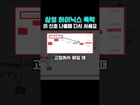 국내 주도주 재테크 AI 수급 분석 매수 매도 신호 놓치면 후회할 서비스